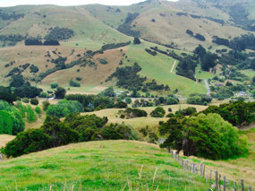 farmland views driving Christchurch>Akaroa