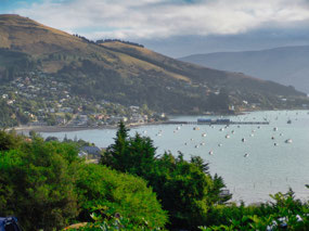 Akaroa Harbor view from campsite