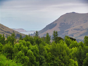 peek of Akaroa along the drive