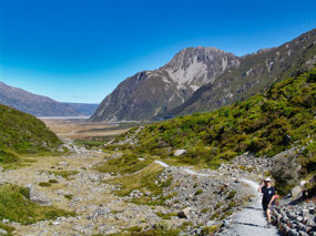 Kea Point walk