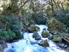 Marian Creek cascading falls