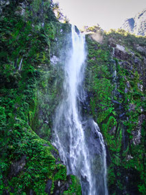 Bowen Falls - Milford Sound