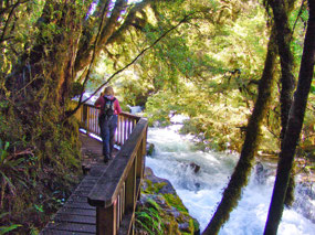Boardwalk along Marian Creek