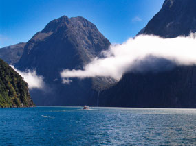 cruise through Milford Sound