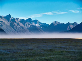 foggy morning drive to Milford Sound