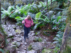 getting more difficult - steeper and rockier 