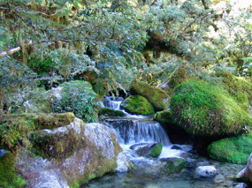 Marian Creek Falls