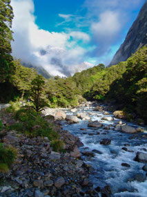 Scenic drive TeAnau>Milford