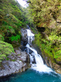 Waterfalls Milford-TeAnau Hwy