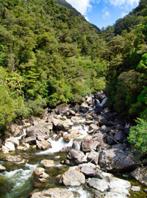 Bus to Doubtful Sound