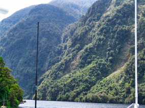 Cruise through Doubtful Sound