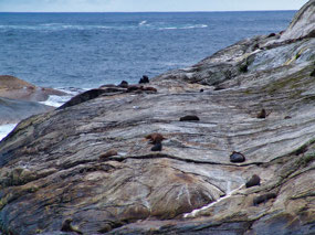 Seal Rock