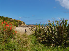 Beach along TeWaewae Bay