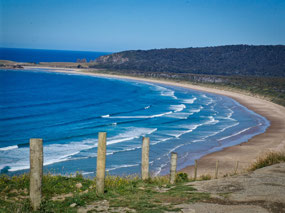 Tautuku Bay from Florence Hill Lookout