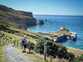 Path to Tunnel Beach