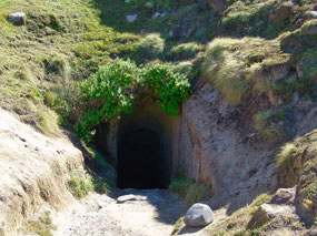 Tunnel Entrance almost Unnoticeable