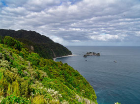 Knights Point Lookout
