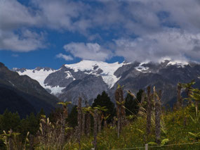 view of Franz Josef Glacier from camper