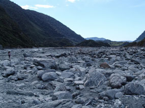 Walking Track to Franz Josef Glacier Face