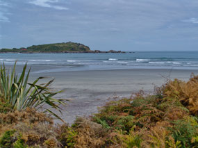 View along Cape Foulwind Walkway