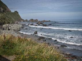 Motukiekie Beach