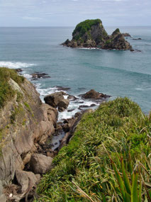 Tauranga Bay - Cape Foulwind