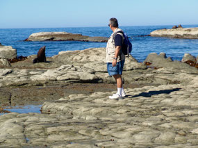 Seal Colony - able to get very close