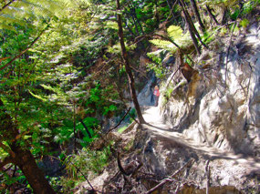 Coastal Trail around Mountain