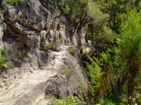 Trail high above the Coast