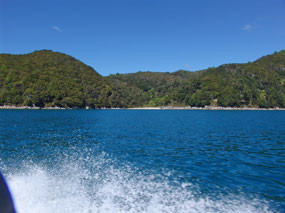 views of Able Tasman National Park