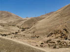 Driving north from Kaikoura