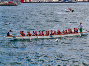 Dragon Boat Races - Wellington