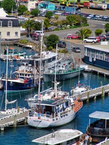 Picton Port
