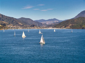 Sailboats in Picton Harbor - from ferry