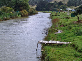 Fish Stands along Mokau River