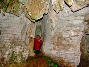 Ruakuri Scenic Reserve Walk