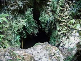 Cave Entry - Ruakuri Scenic Reserve