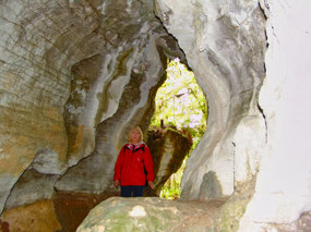 Ruakuri Scenic Reserve Walk