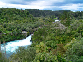 Viewing Platforms line Waikato River