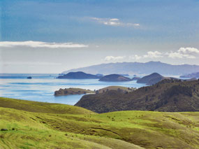Coromandel Penninsula