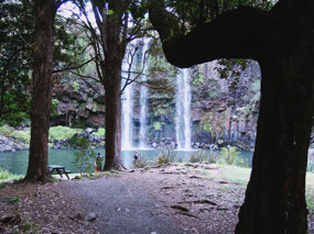 Whangarei Falls