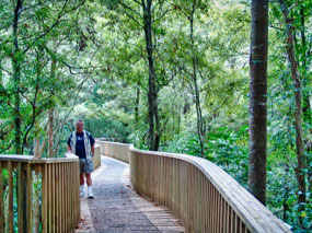 AH Reid Kauri Park - Canopy Boardwalk