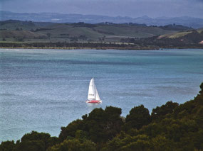 Bay of Islands - sail boaters dream