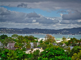 Campsite view Kororareka Bay