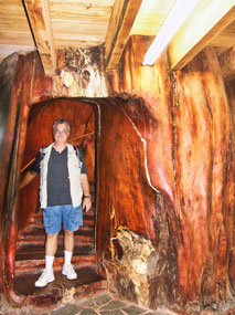 carved stairway in ancient kauri