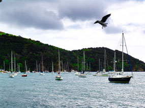 Mangonui Harbor