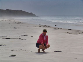 Rarawa Beach - shell hunting