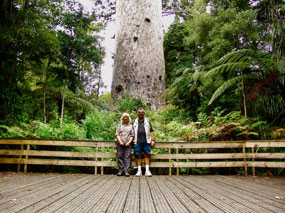 Tane Mahuta, largest standing kauri tree
