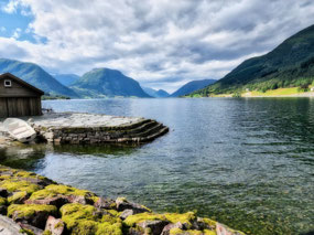 Moss-covered rocks along lake edge