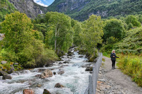 Feigefossen - wild raspberries along the way